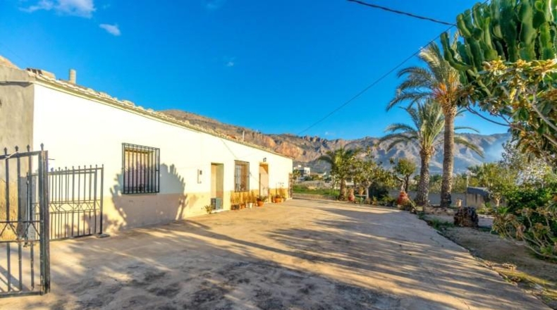 Alicante - Orihuela - 850m2