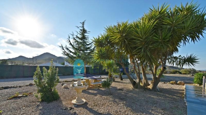 Murcia - Fuente Álamo de Murcia - 2630m2