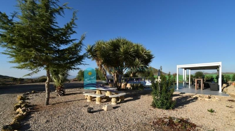Murcia - Fuente Álamo de Murcia - 2630m2