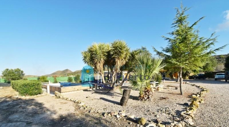 Murcia - Fuente Álamo de Murcia - 2630m2