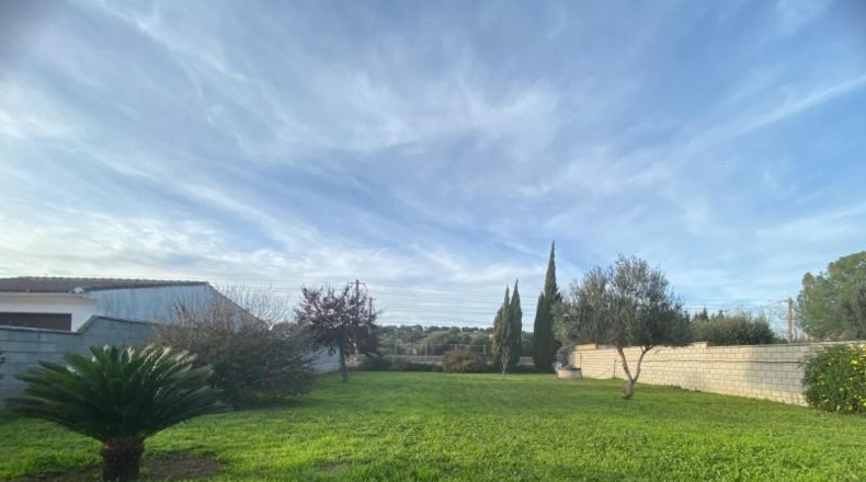 Córdoba - Córdoba - 1225m2