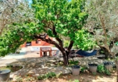 Xalet independent amb terreny en venda a la España, el Fondó dels Frares, ref.: TR147289 foto