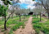 Xalet independent amb terreny en venda a la España, el Fondó dels Frares, ref.: TR147289 foto