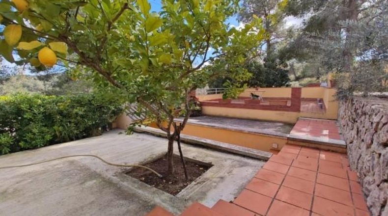 Tarragona - la Bisbal del Penedès - 114m2