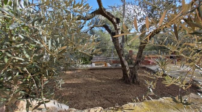 Tarragona - la Bisbal del Penedès - 114m2