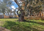 Casa de pueblo en venta en la España, la Bisbal del Penedès, ref: TR326106 foto