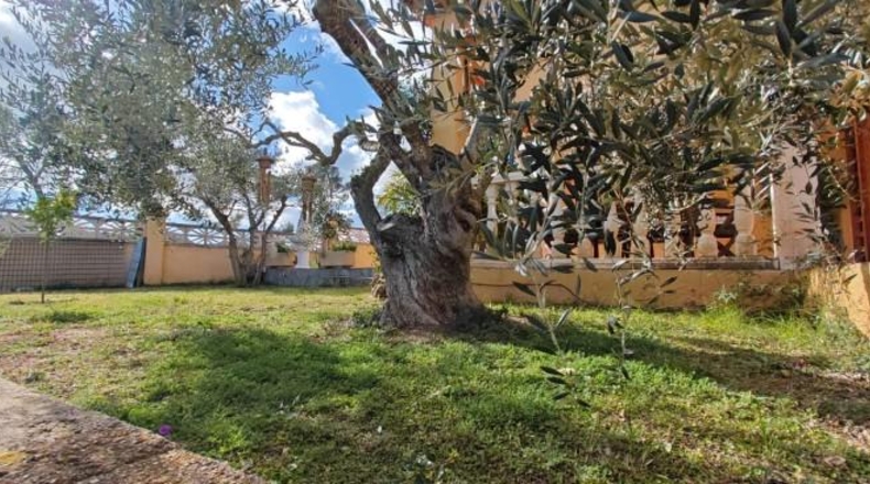 Tarragona - la Bisbal del Penedès - 114m2