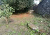 Xalet independent amb terreny en venda a la España, Loureiral, ref.: TR355929 foto