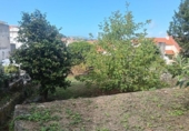 Xalet independent amb terreny en venda a la España, Loureiral, ref.: TR355929 foto