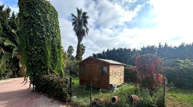 Zaragoza - Сарагоса - 4892m2