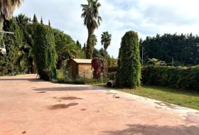 Foto 14