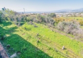 Xalet independent amb terreny en venda a la España, Motril, ref.: TR409282 foto