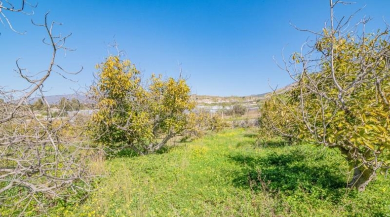 Granada - Motril - 6573m2