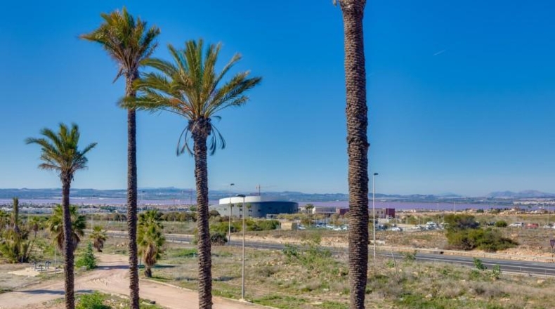 Alicante - Torrevieja - 247m2