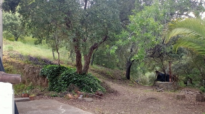 Málaga - Jubrique - 7000m2