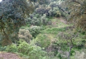 Masía con terreno en venta en la La Lomilla, Jubrique, ref: TR409278 foto