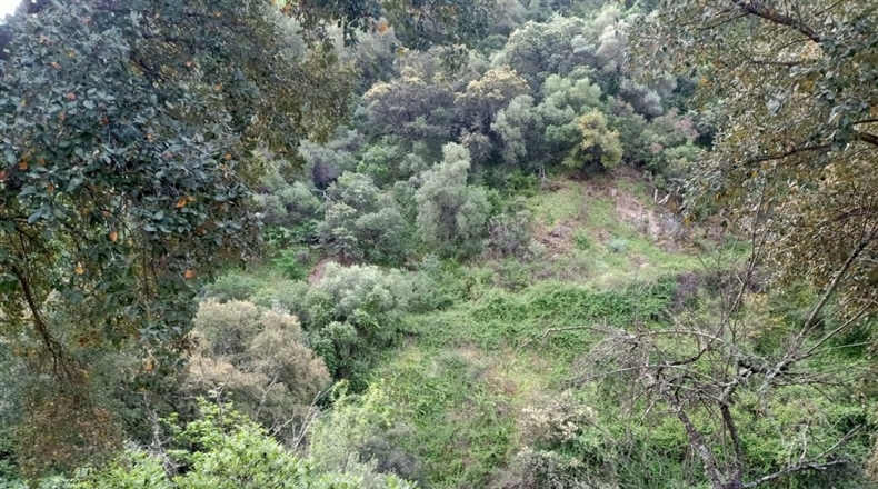 Málaga - Jubrique - 7000m2
