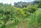 Masía con terreno en venta en la La Lomilla, Jubrique, ref: TR409278 foto