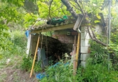 Masía con terreno en venta en la La Lomilla, Jubrique, ref: TR409278 foto