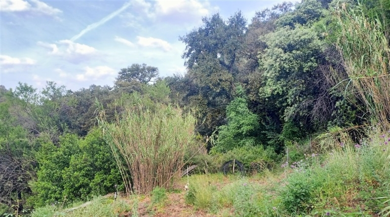 Málaga - Jubrique - 7000m2