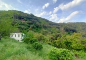 Masía con terreno en venta en la La Lomilla, Jubrique, ref: TR409278 foto