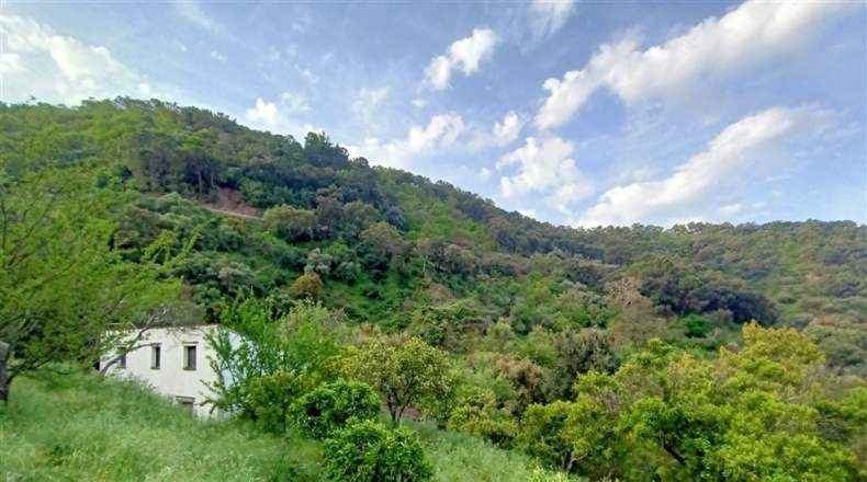 Málaga - Jubrique - 7000m2