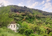 Masía con terreno en venta en la La Lomilla, Jubrique, ref: TR409278 foto