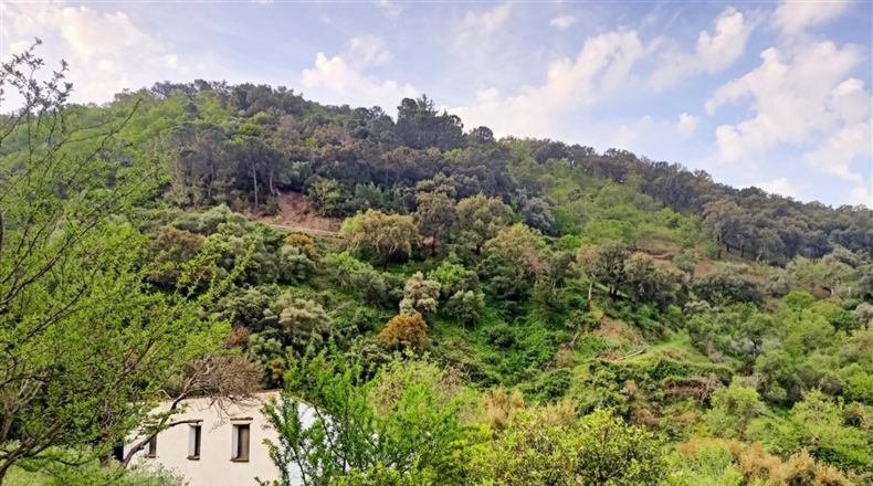 Málaga - Jubrique - 7000m2