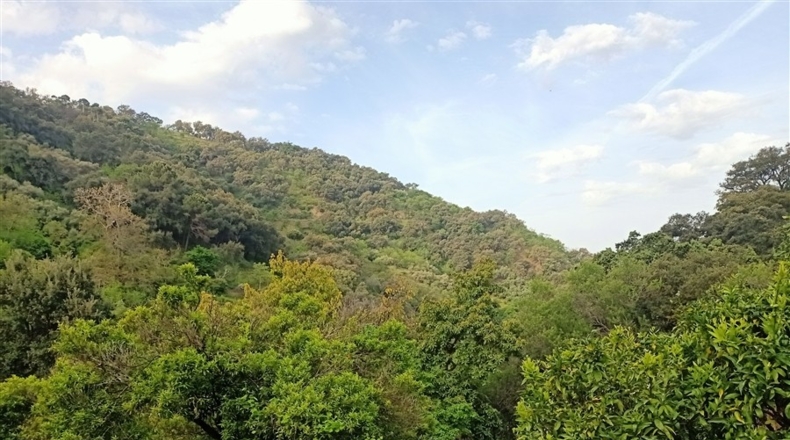 Málaga - Jubrique - 7000m2