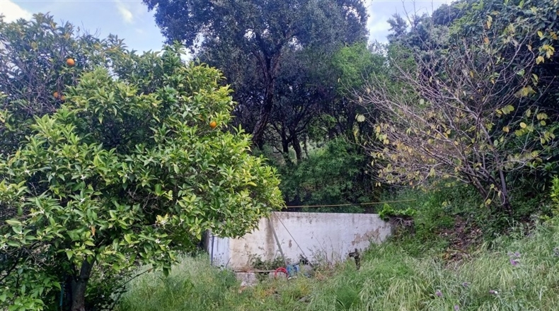 Málaga - Jubrique - 7000m2