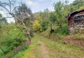 Masía con terreno en venta en la La Lomilla, Jubrique, ref: TR409278 foto
