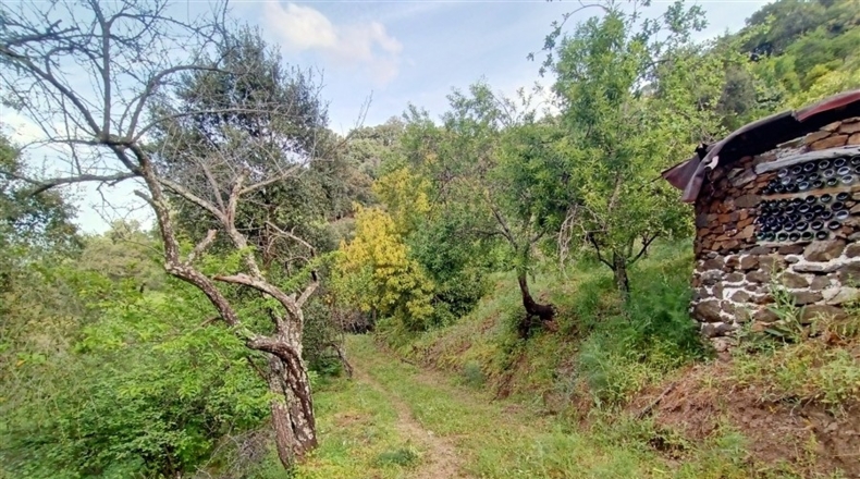 Málaga - Jubrique - 7000m2