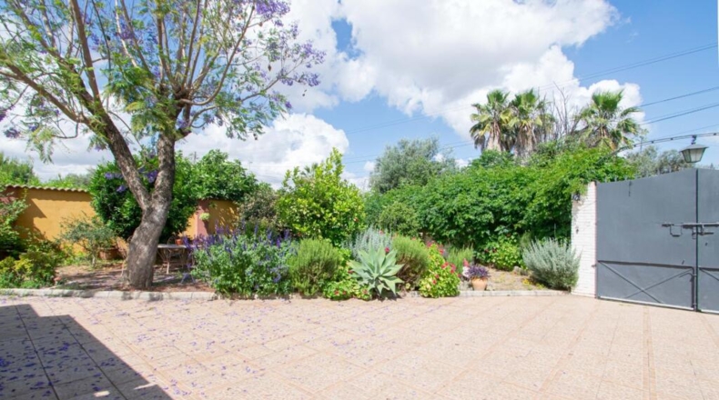 Sevilla - Mairena del Aljarafe - 206m2