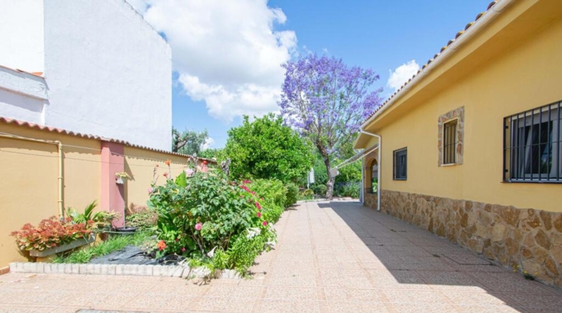 Sevilla - Mairena del Aljarafe - 206m2
