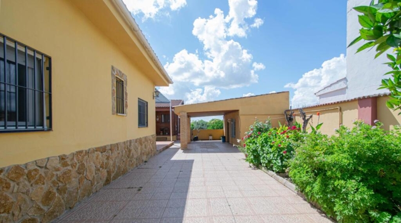 Sevilla - Mairena del Aljarafe - 206m2