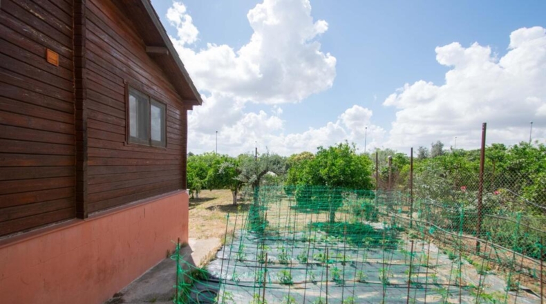Sevilla - Mairena del Aljarafe - 206m2