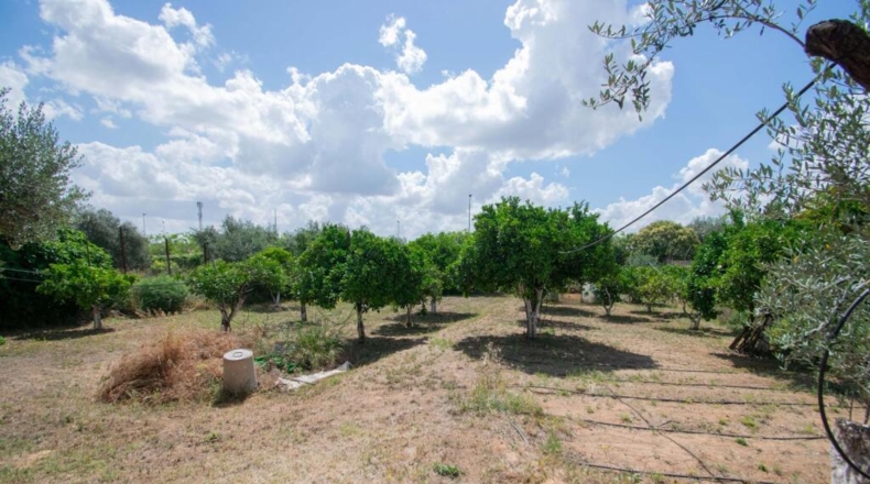 Sevilla - Mairena del Aljarafe - 206m2