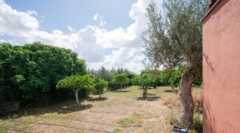 Sevilla - Mairena del Aljarafe - 206m2
