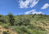 Chalet independiente con terreno en venta en la POLIGONO 15, Alborache, ref: TR394189 foto