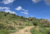 Chalet independiente con terreno en venta en la POLIGONO 15, Alborache, ref: TR394189 foto