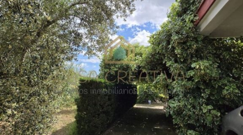 Valencia - Alborache - 160m2