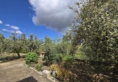 Chalet independiente con terreno en venta en la POLIGONO 15, Alborache, ref: TR394189 foto