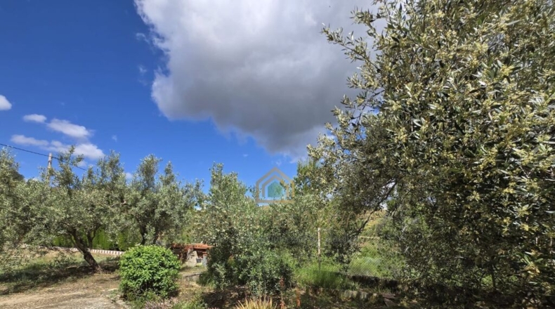 Valencia - Alborache - 160m2