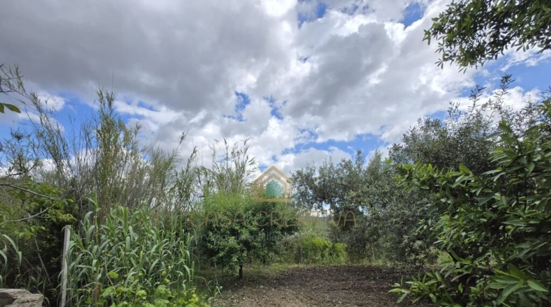 Valencia - Alborache - 160m2