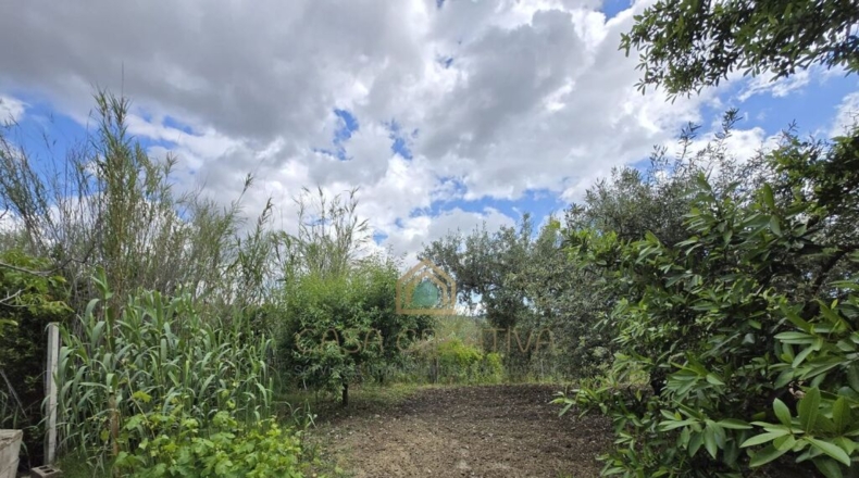 Valencia - Alborache - 160m2