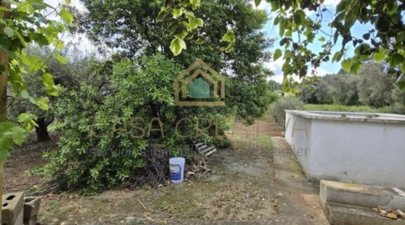 Valencia - Alborache - 160m2