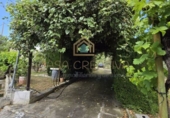 Chalet independiente con terreno en venta en la POLIGONO 15, Alborache, ref: TR394189 foto