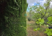 Chalet independiente con terreno en venta en la POLIGONO 15, Alborache, ref: TR394189 foto