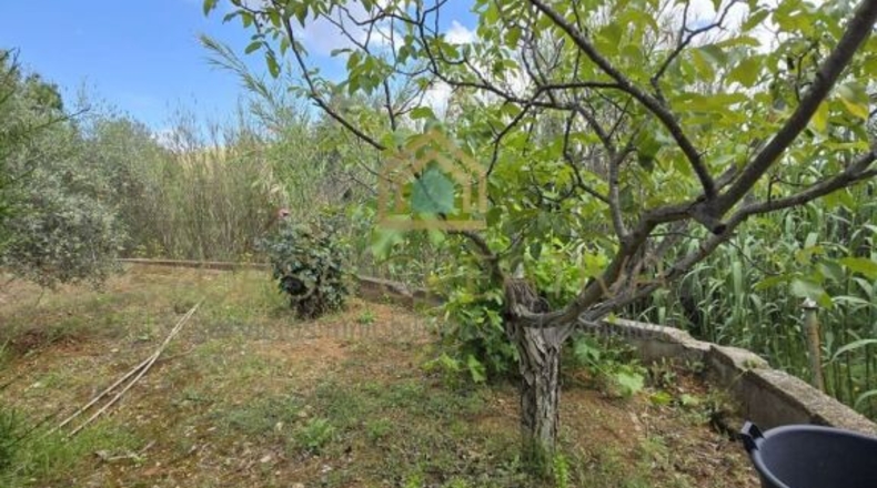 Valencia - Alborache - 160m2