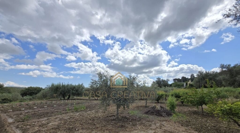 Valencia - Alborache - 160m2